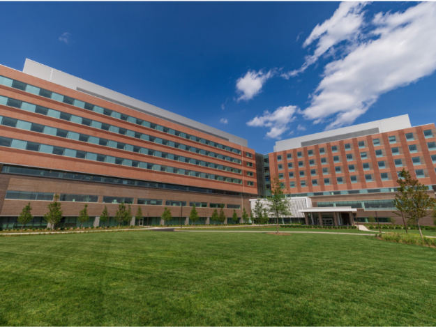 The New Valley Hospital